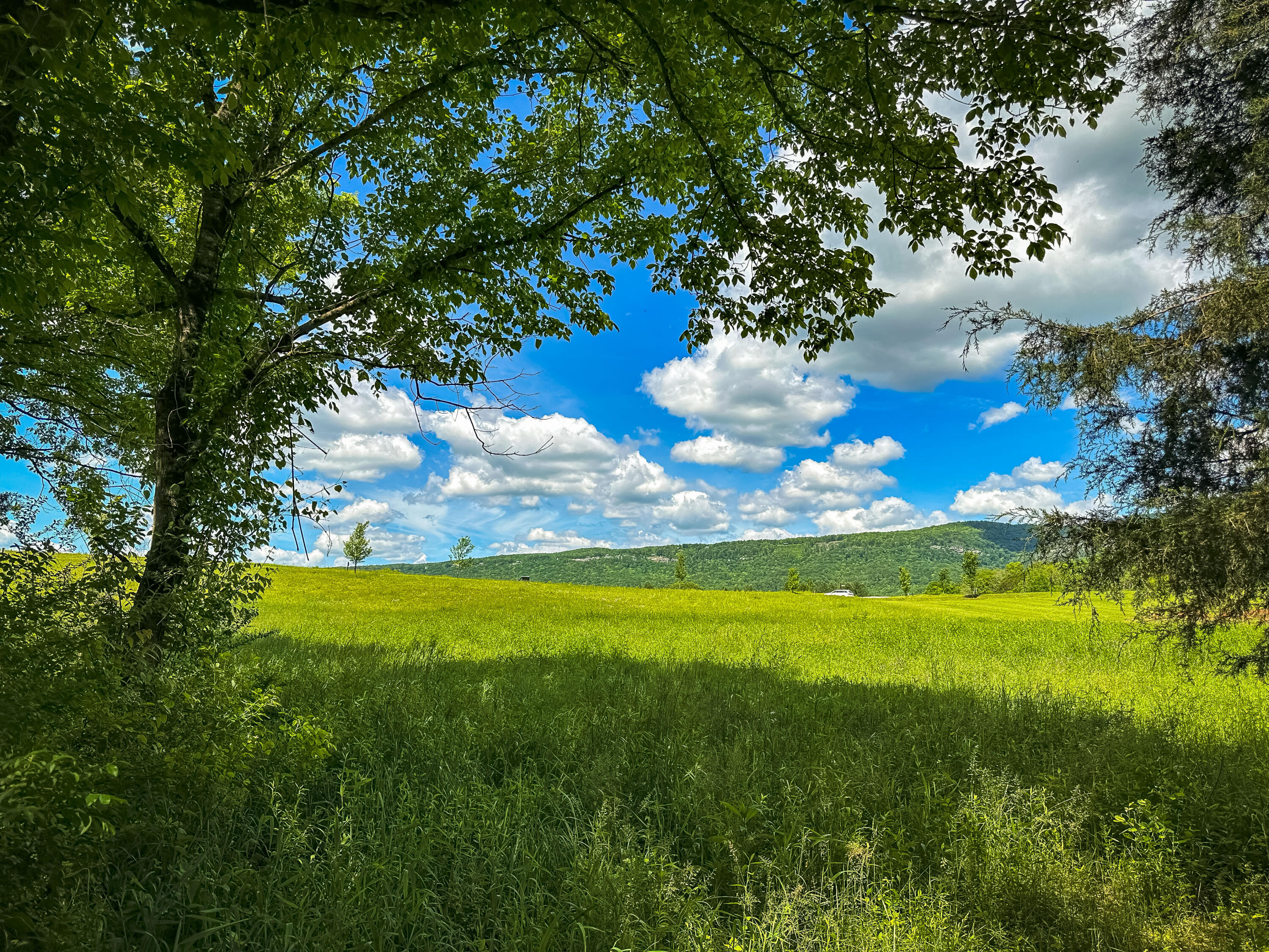 Dry Branch Way #LOT 47, Pikeville, Tennessee image 5