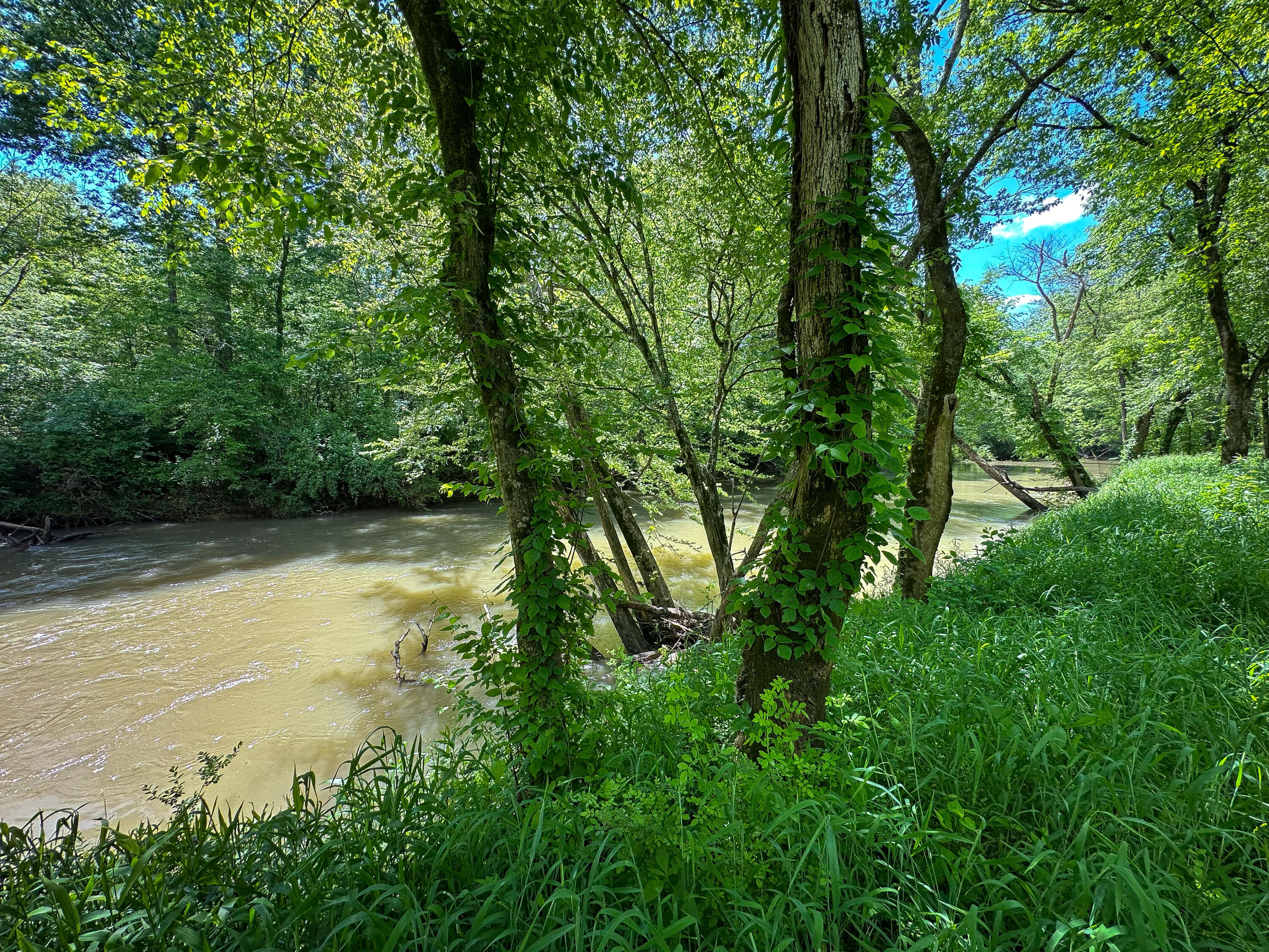 Dry Branch Way #LOT 47, Pikeville, Tennessee image 8