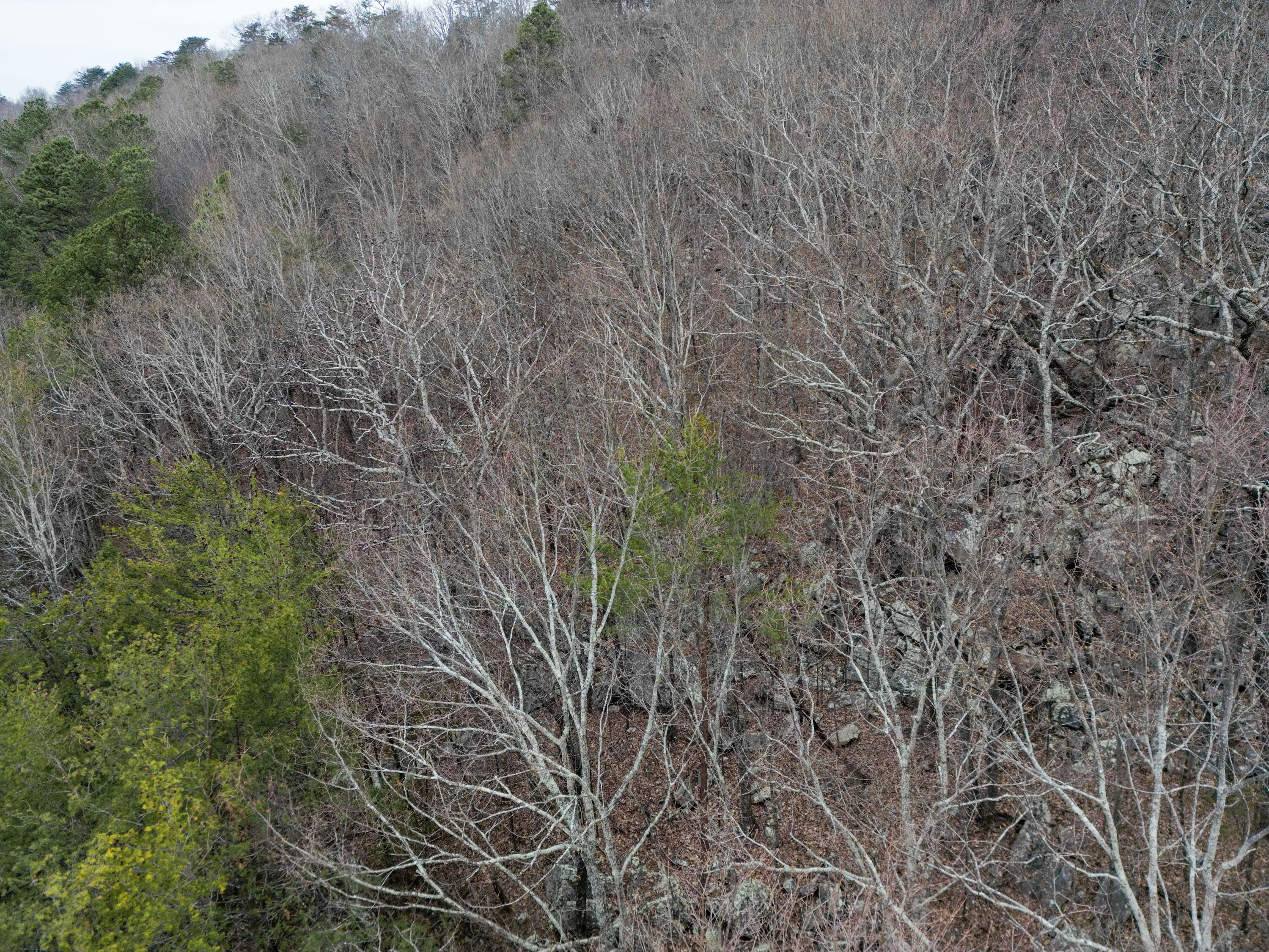Ga-136, Trenton, Georgia image 11
