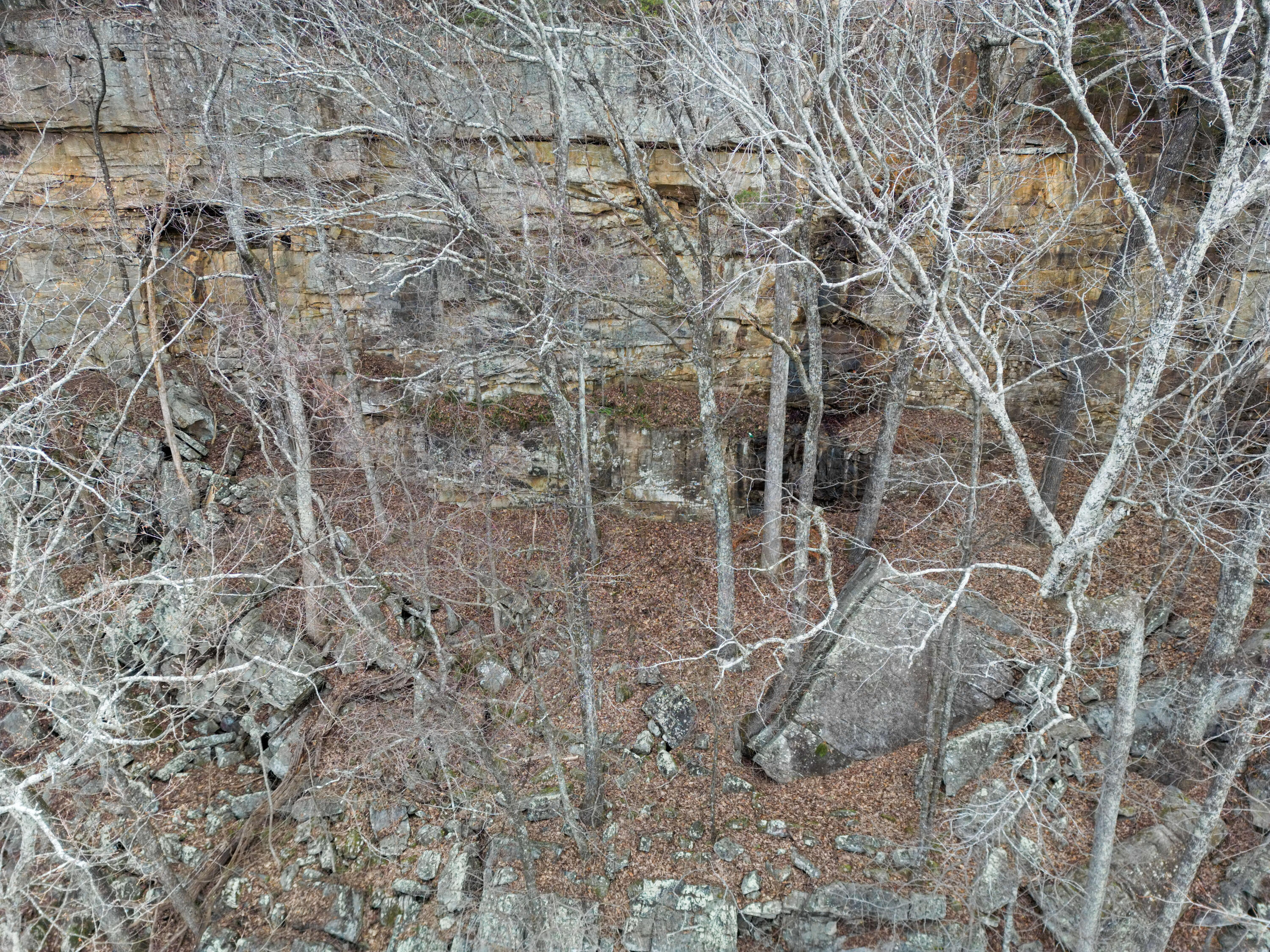 Ga-136, Trenton, Georgia image 6