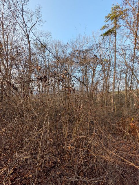 Tiny photo for 00 Pine Breeze Circle, Rockwood, TN 37854 (MLS # 1529016)