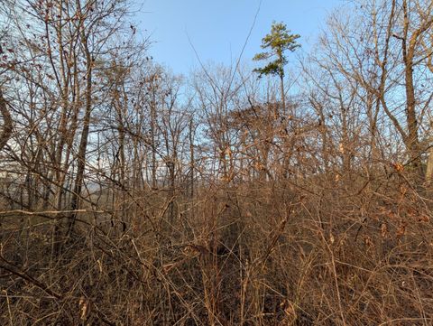 Tiny photo for 00 Pine Breeze Circle, Rockwood, TN 37854 (MLS # 1529016)