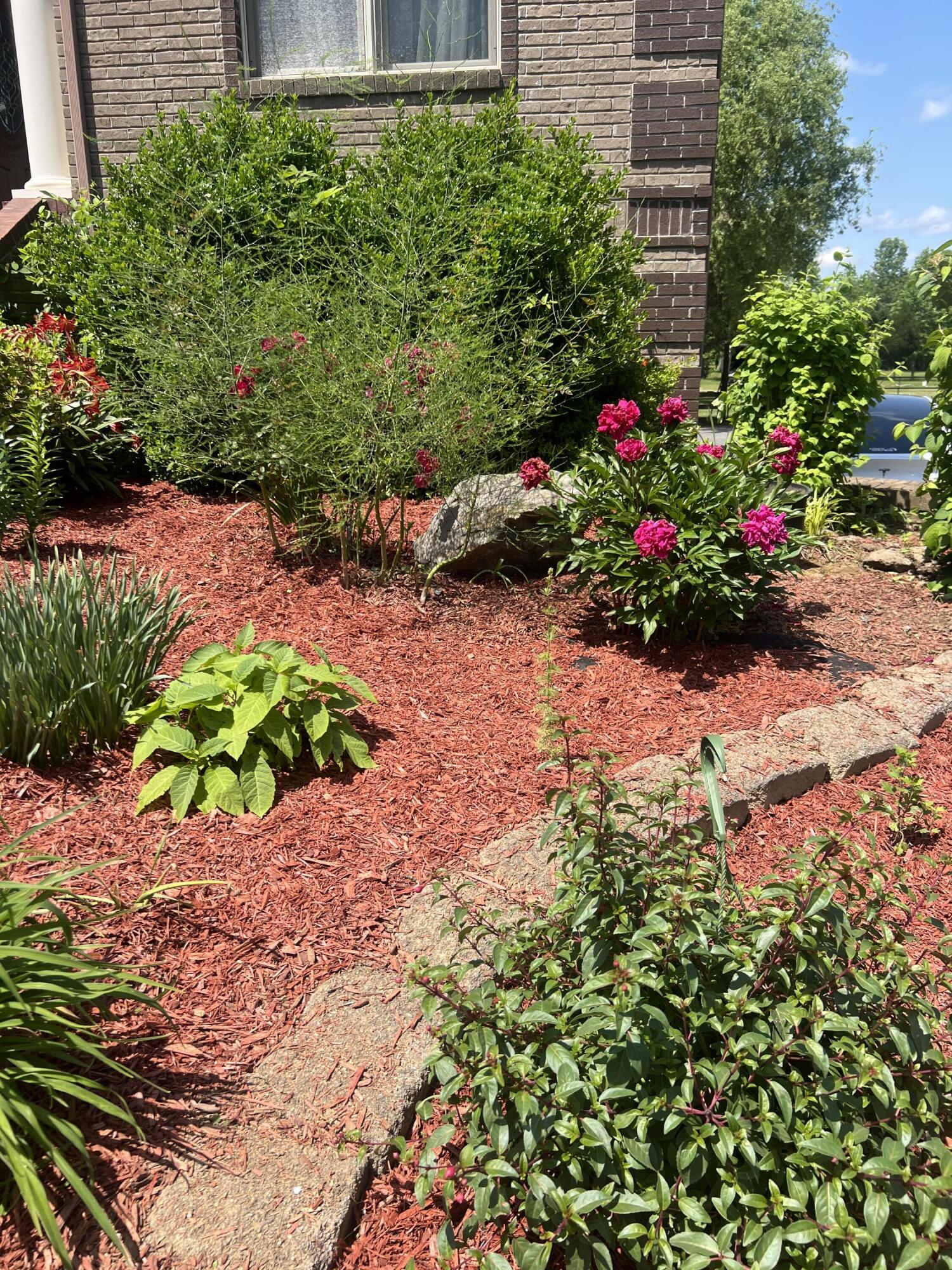 11511 Blair Road, Apison, Tennessee image 3