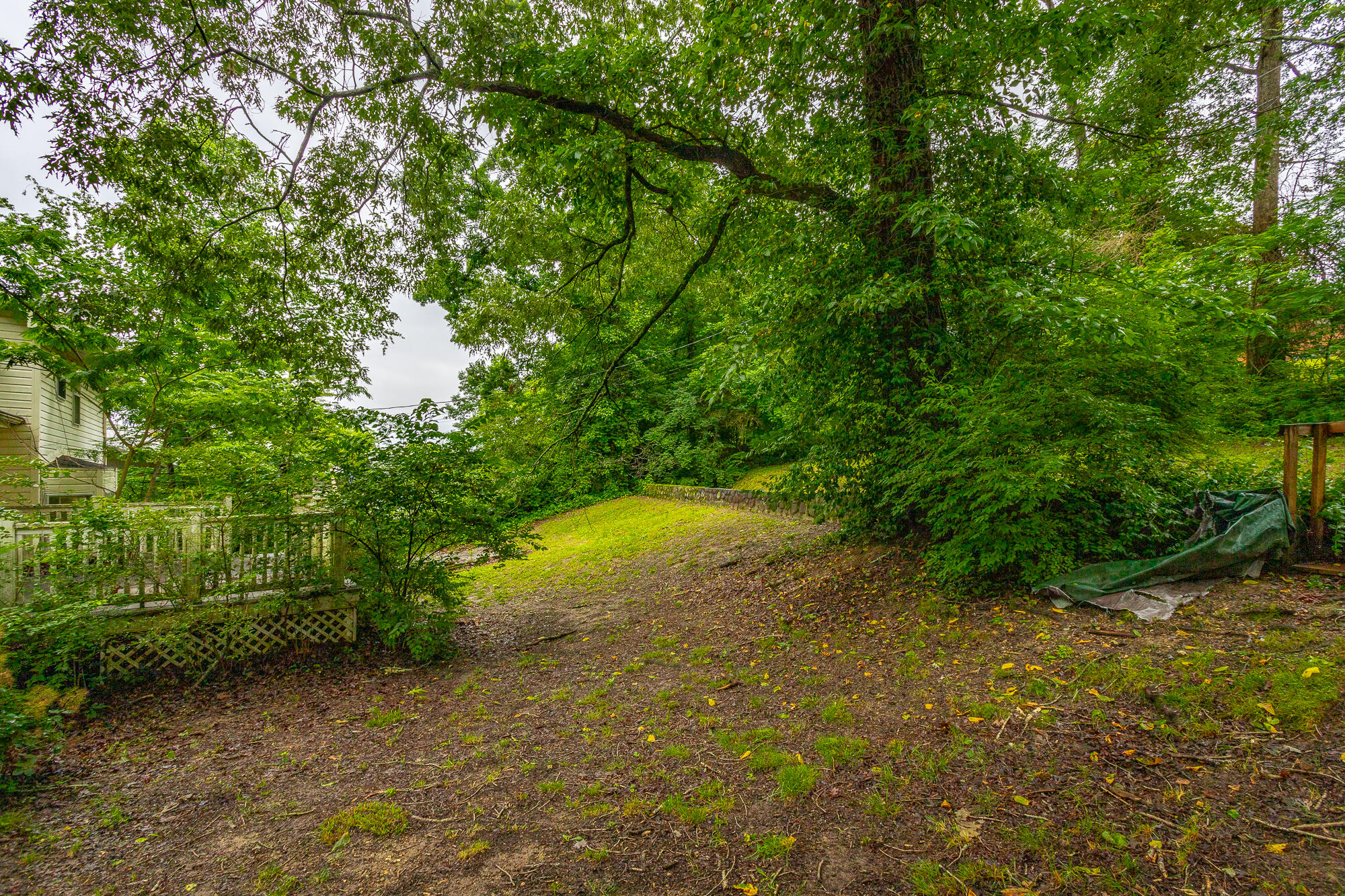4510 Ravenwood Drive, Chattanooga, Tennessee image 47