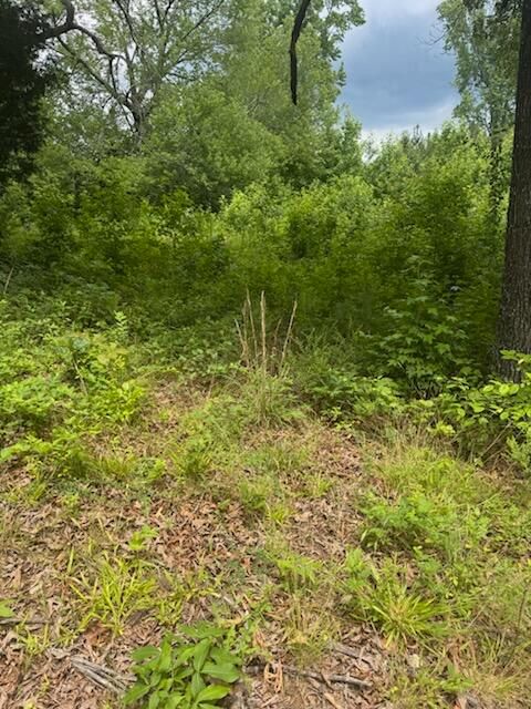 Vacant Land For Sale - Stewart Road<br/> Ringgold, GA 30736