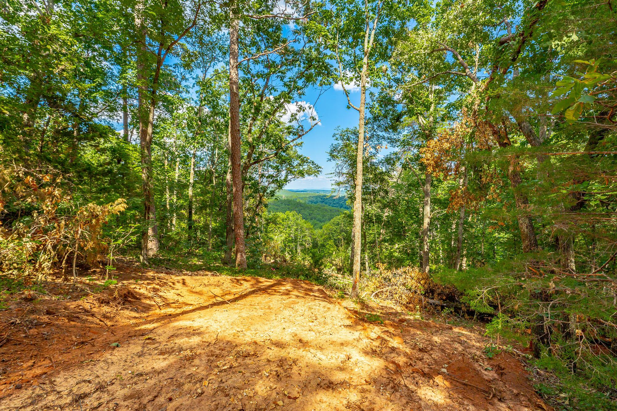 Clearview Drive #LOT 3, Ringgold, Georgia image 14