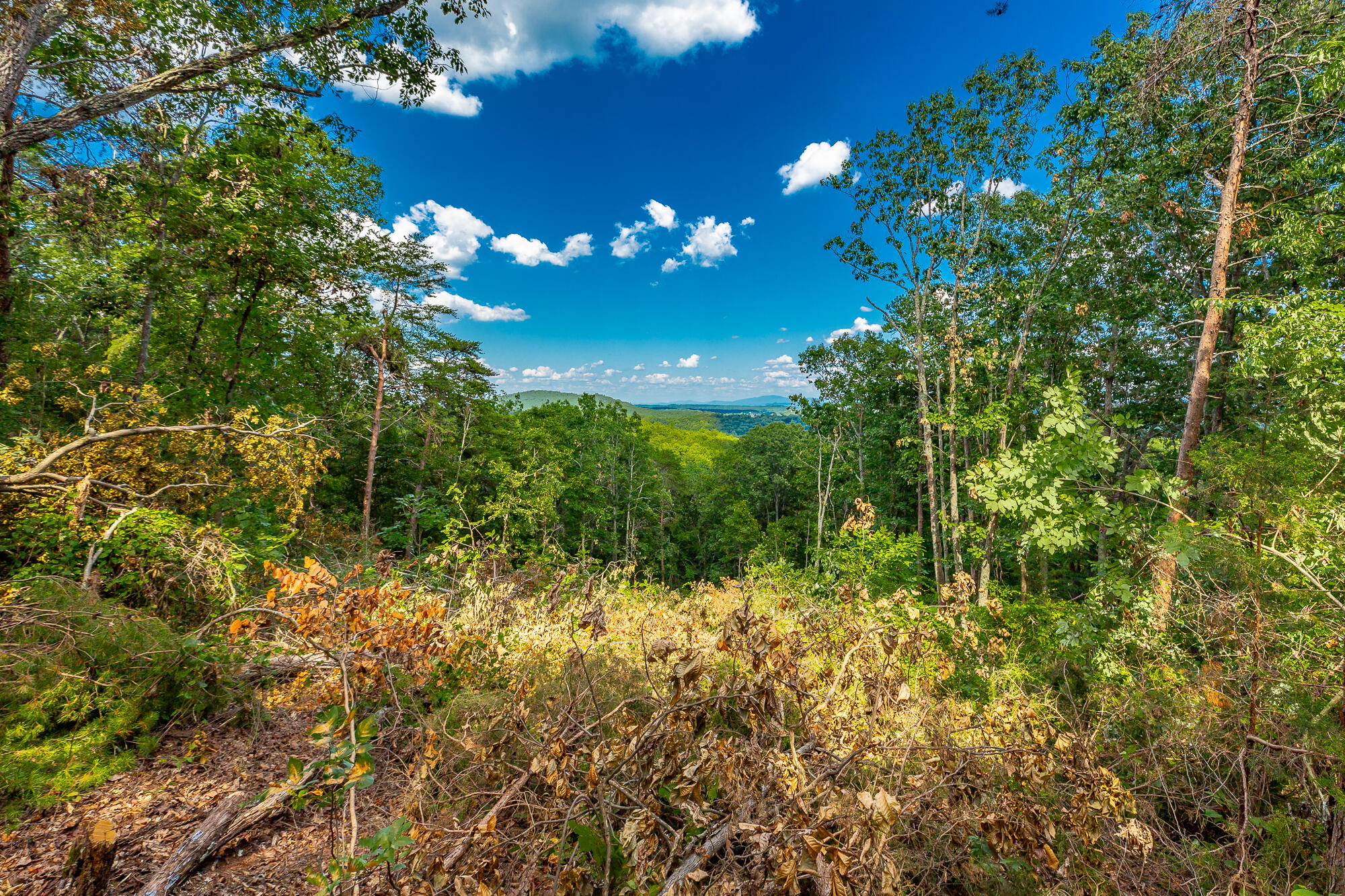 Clearview Drive #LOT 3, Ringgold, Georgia image 19