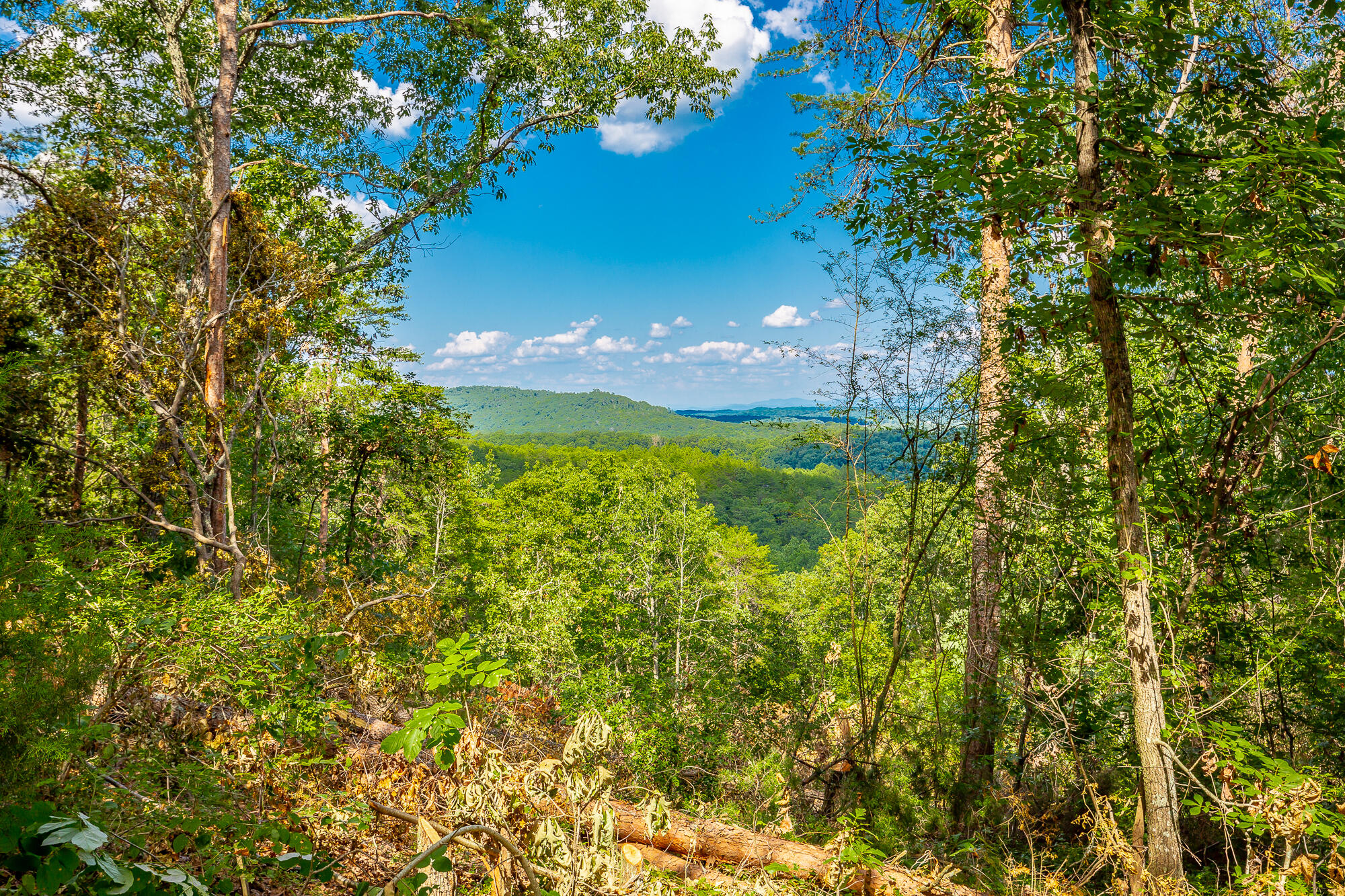 Clearview Drive #LOT 3, Ringgold, Georgia image 16