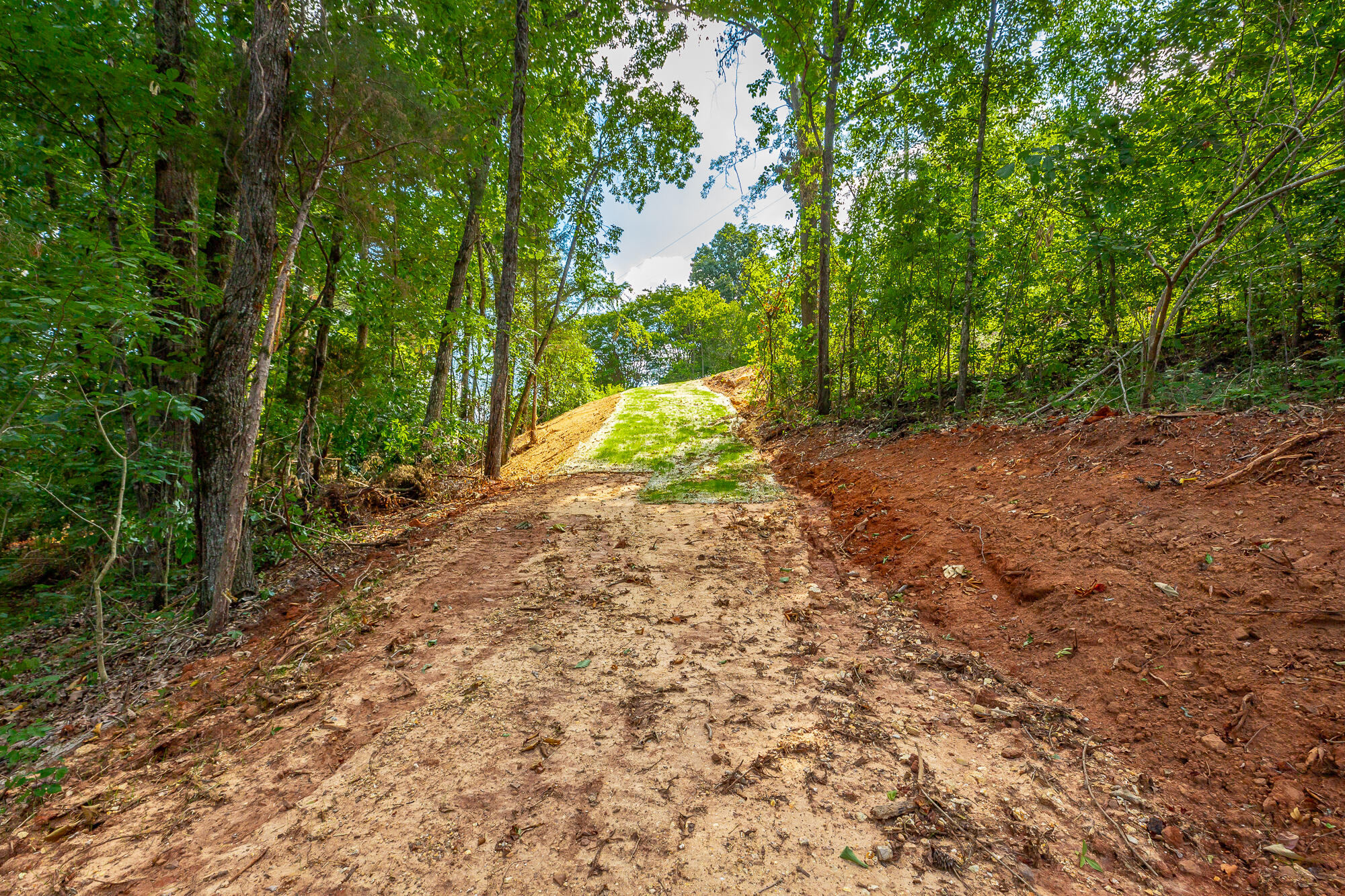 Clearview Drive #LOT 3, Ringgold, Georgia image 10