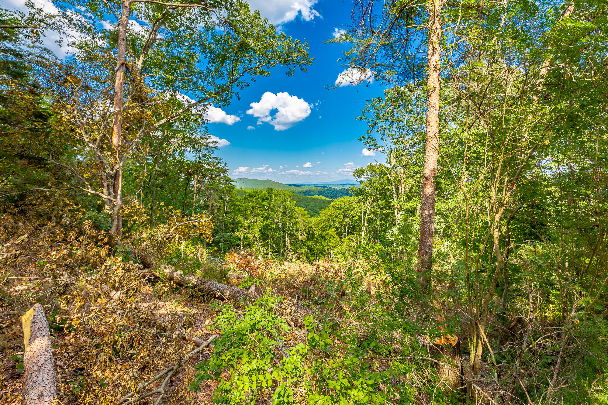 Clearview Drive #LOT 3, Ringgold, Georgia image 3