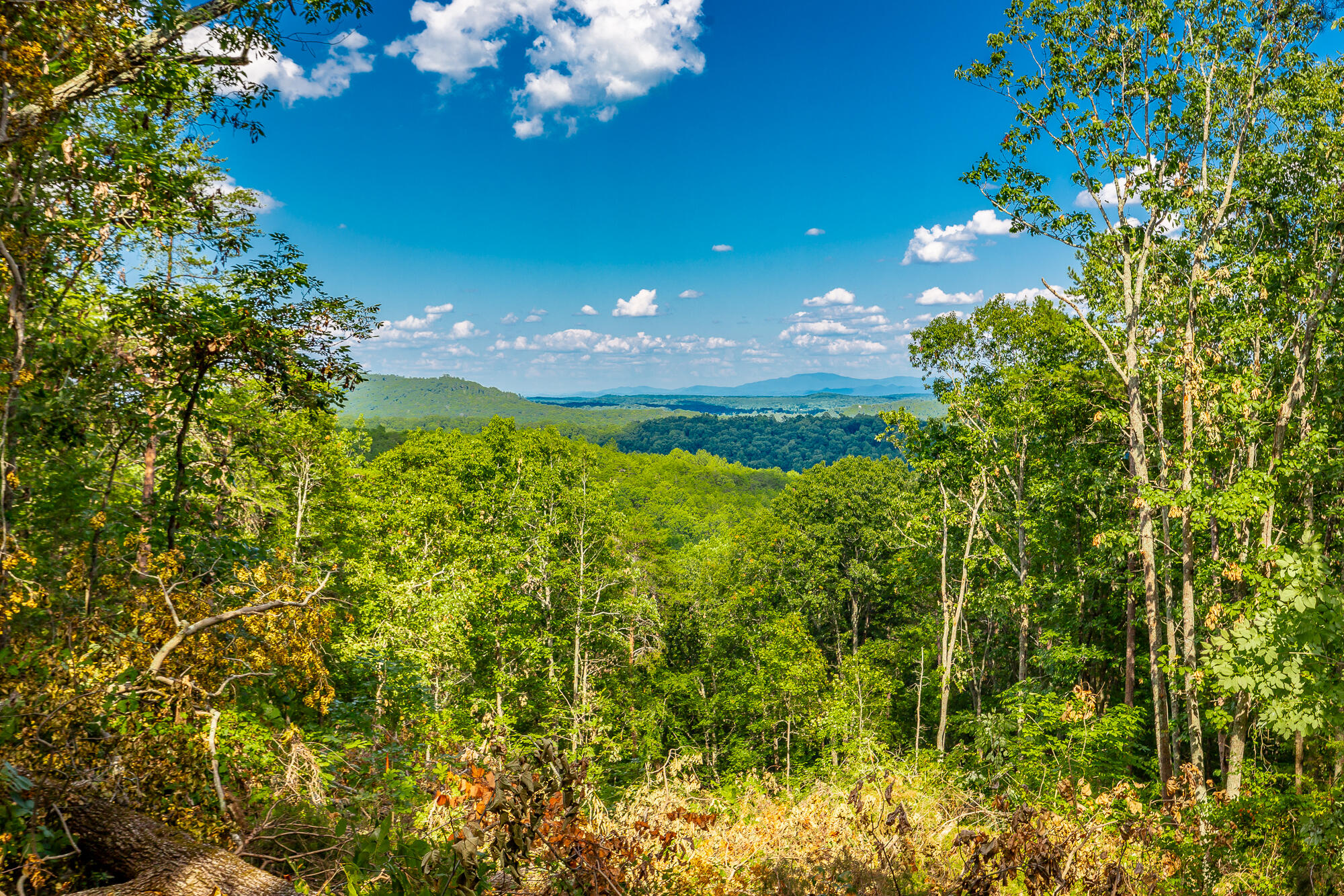 Clearview Drive #LOT 3, Ringgold, Georgia image 17