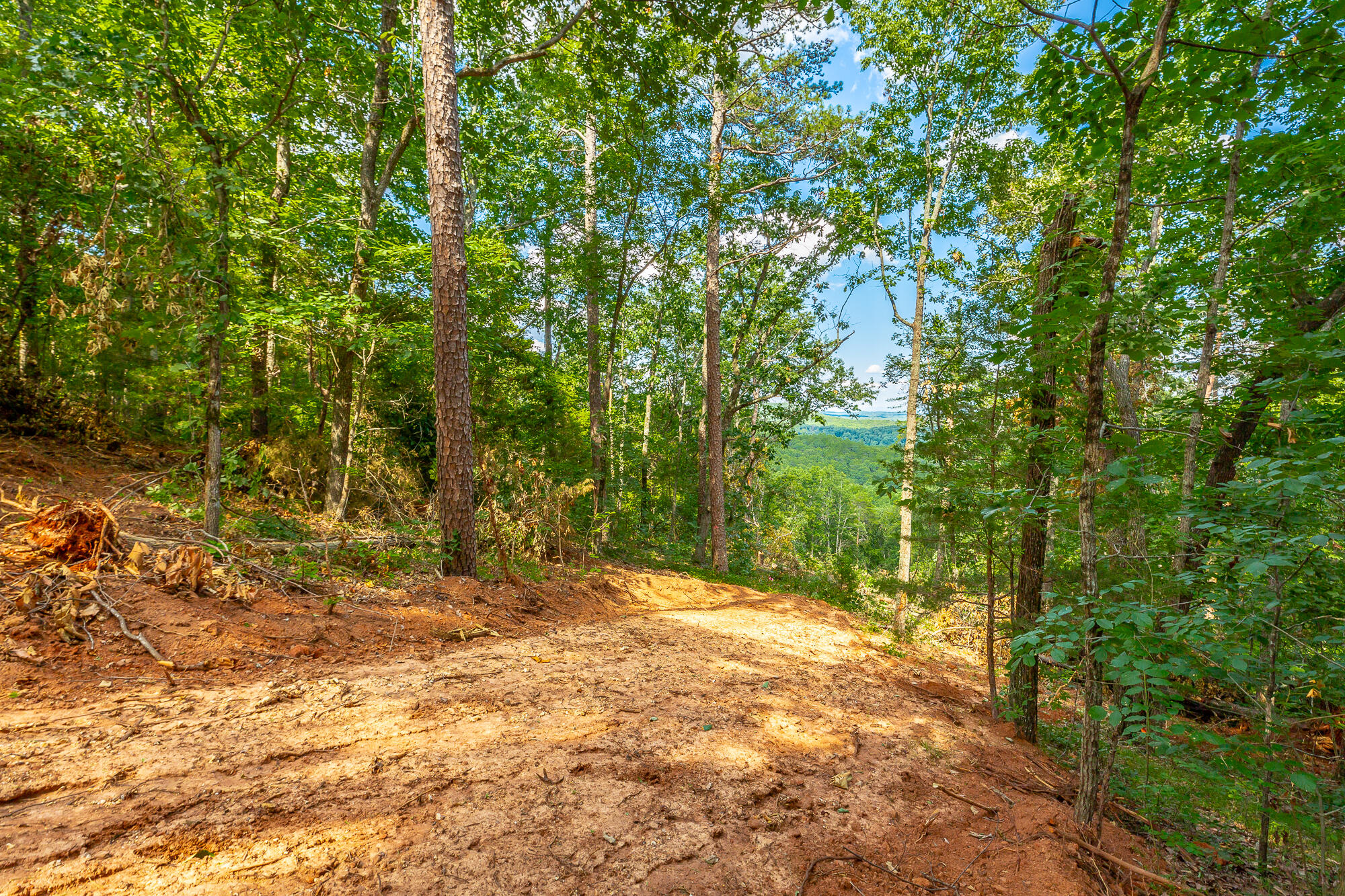 Clearview Drive #LOT 3, Ringgold, Georgia image 11