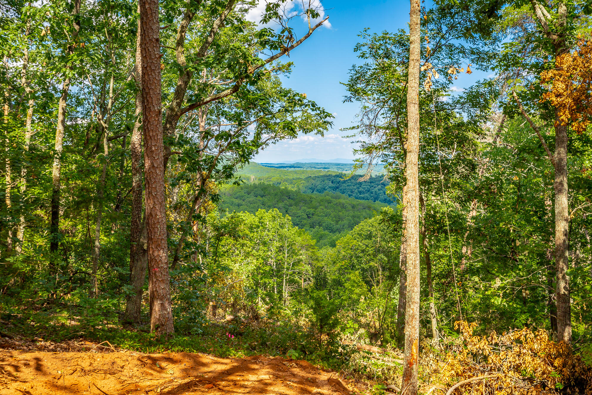 Clearview Drive #LOT 3, Ringgold, Georgia image 15