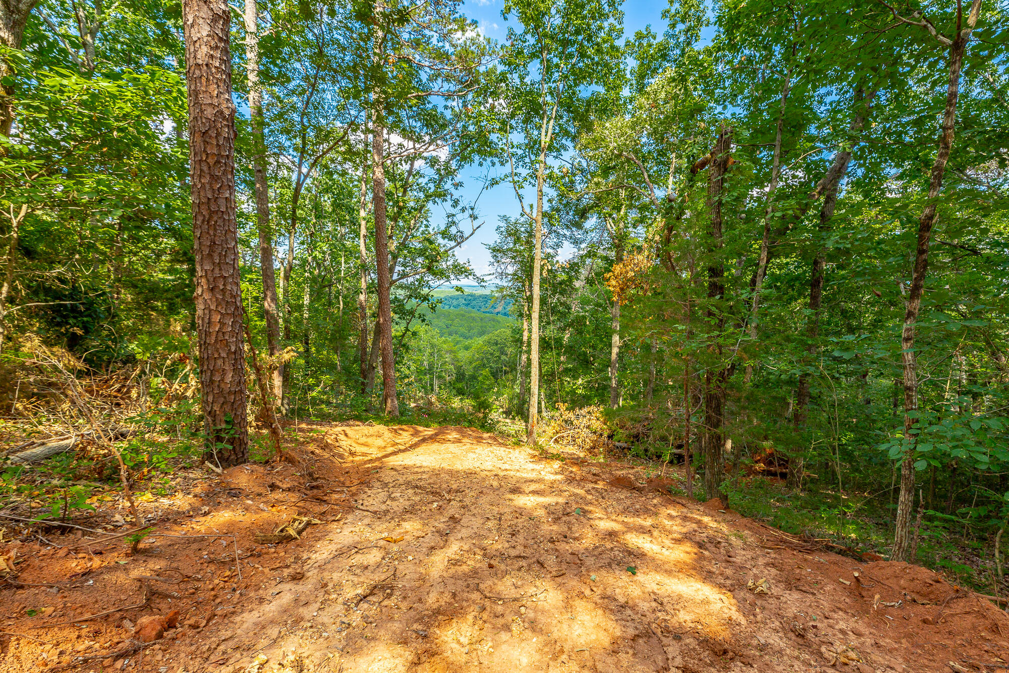 Clearview Drive #LOT 3, Ringgold, Georgia image 12