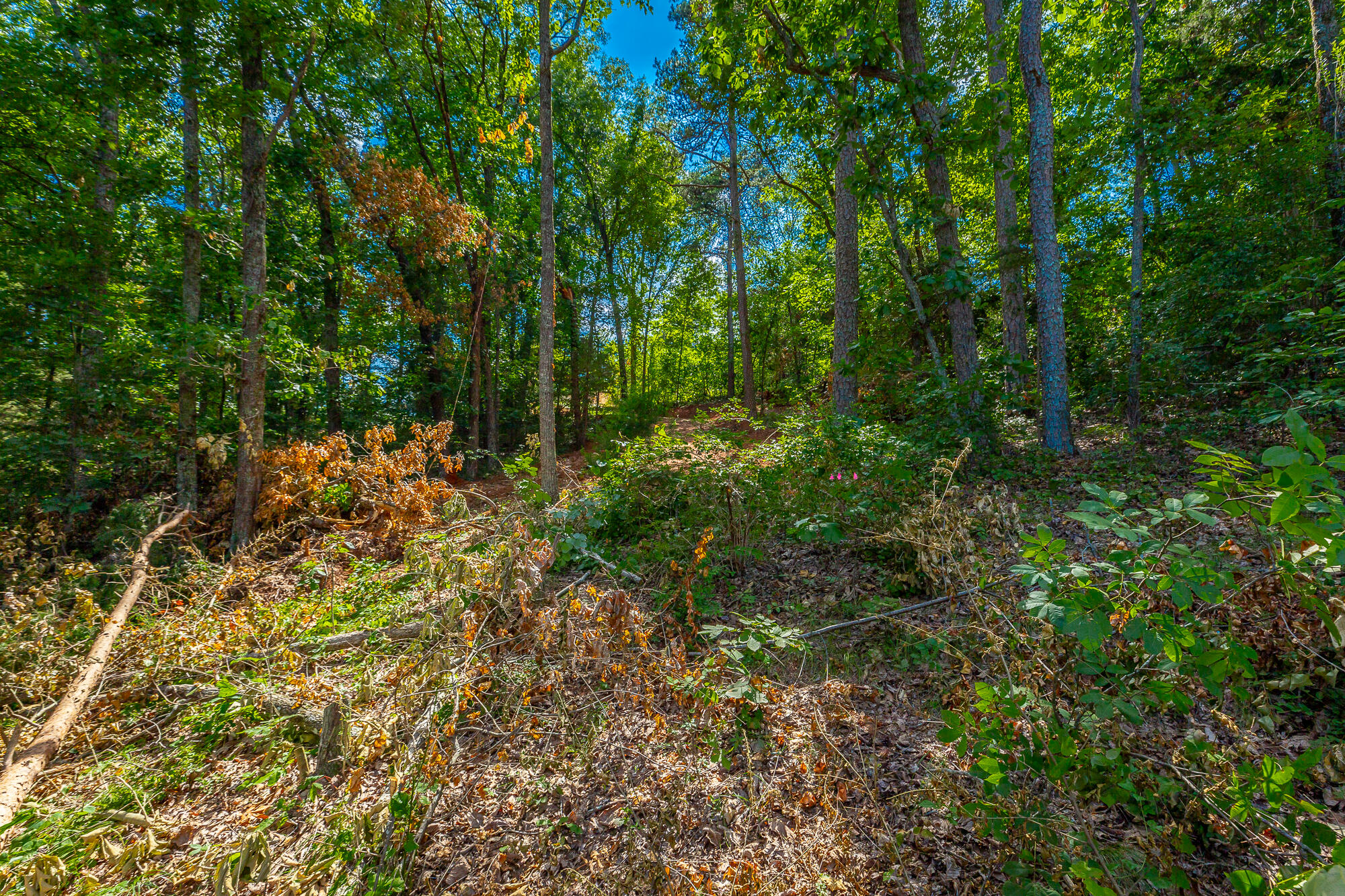 Clearview Drive #LOT 3, Ringgold, Georgia image 18