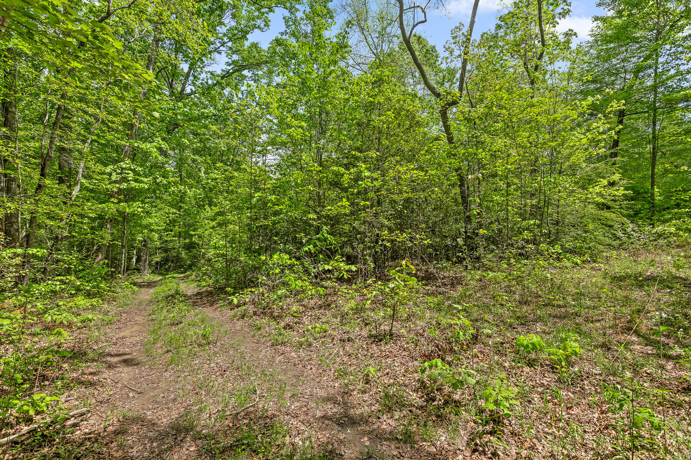 17.65 Acres Blaine Smith Road, Graysville, Tennessee image 50