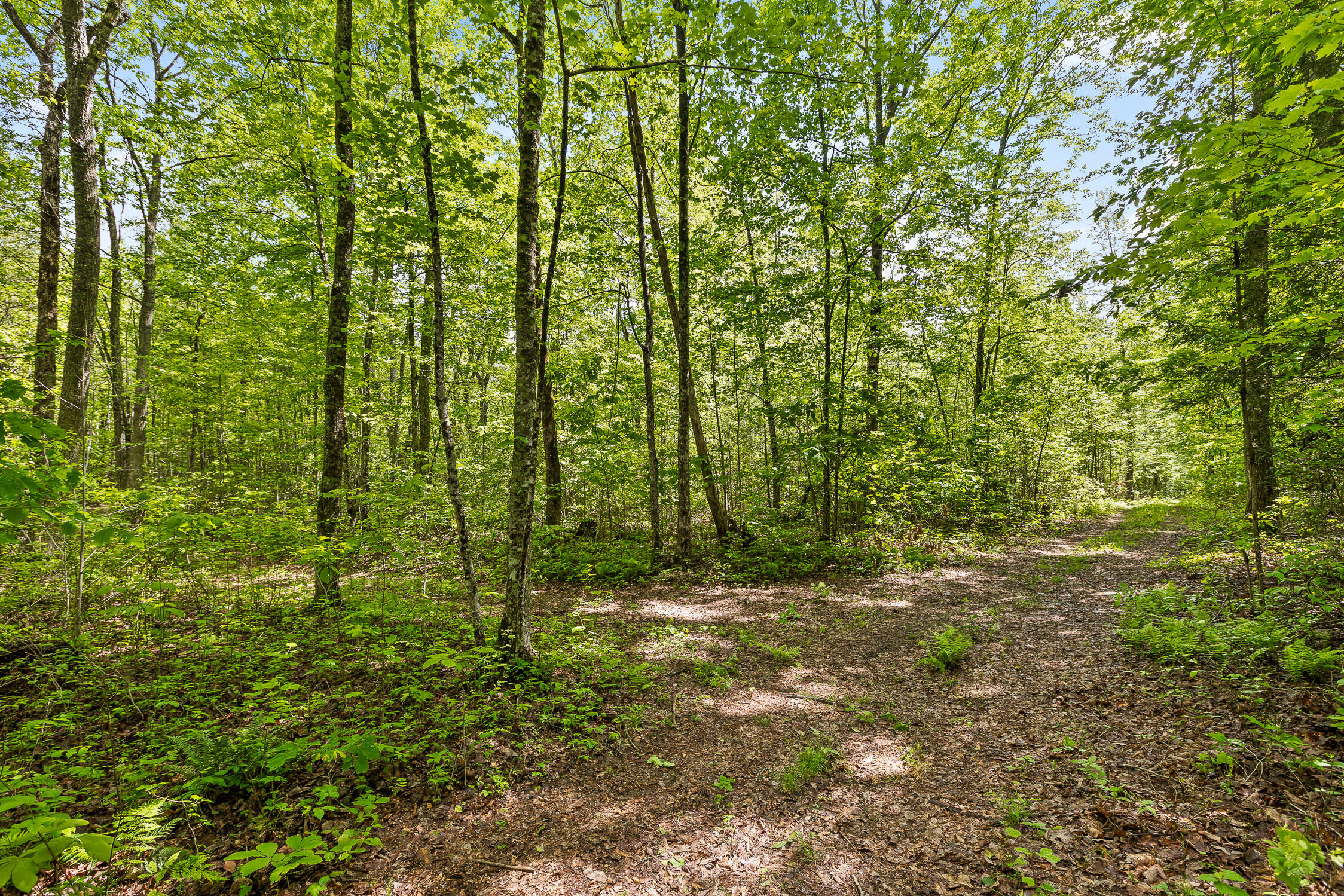 17.65 Acres Blaine Smith Road, Graysville, Tennessee image 41