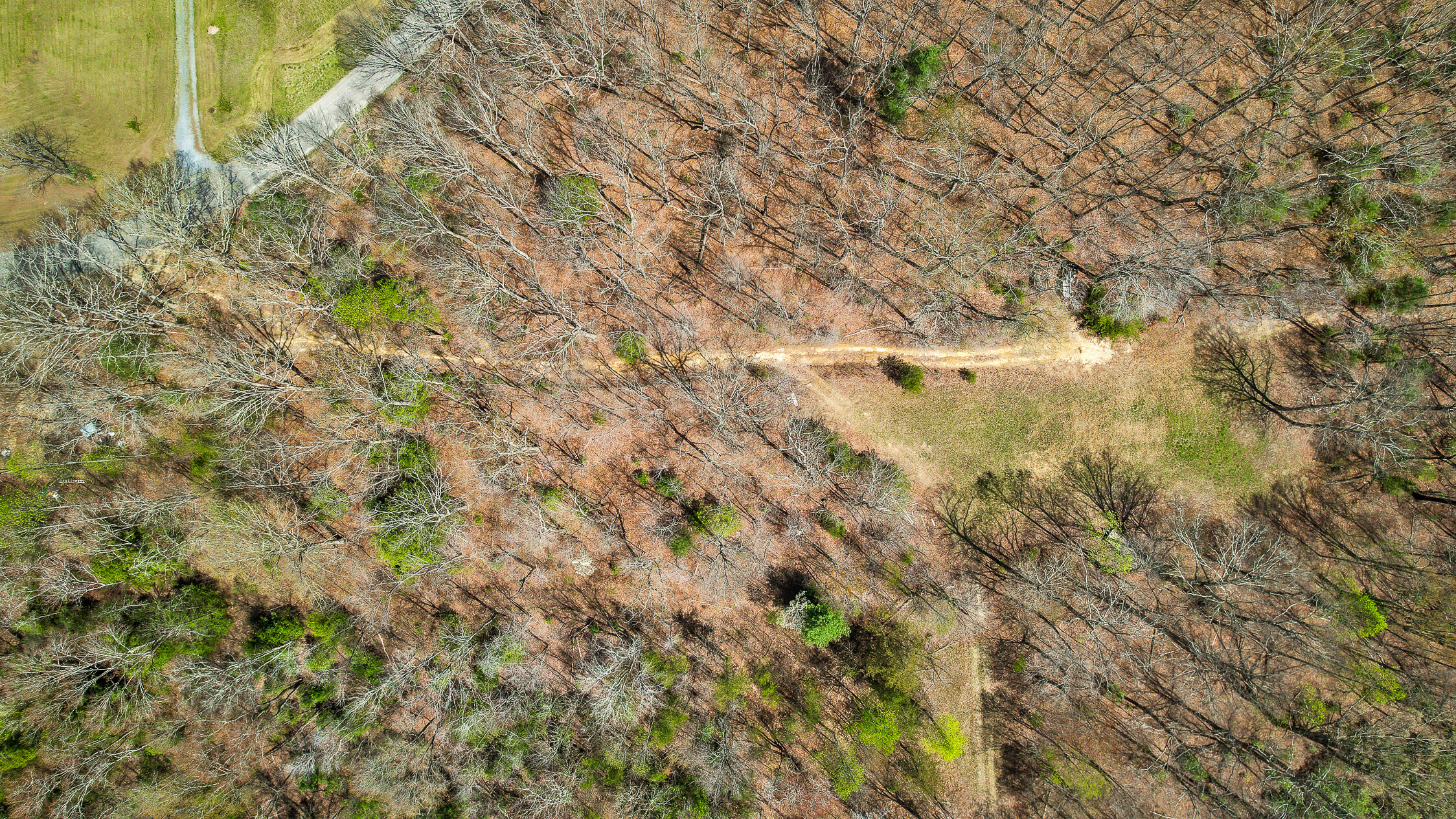 17.65 Acres Blaine Smith Road, Graysville, Tennessee image 35