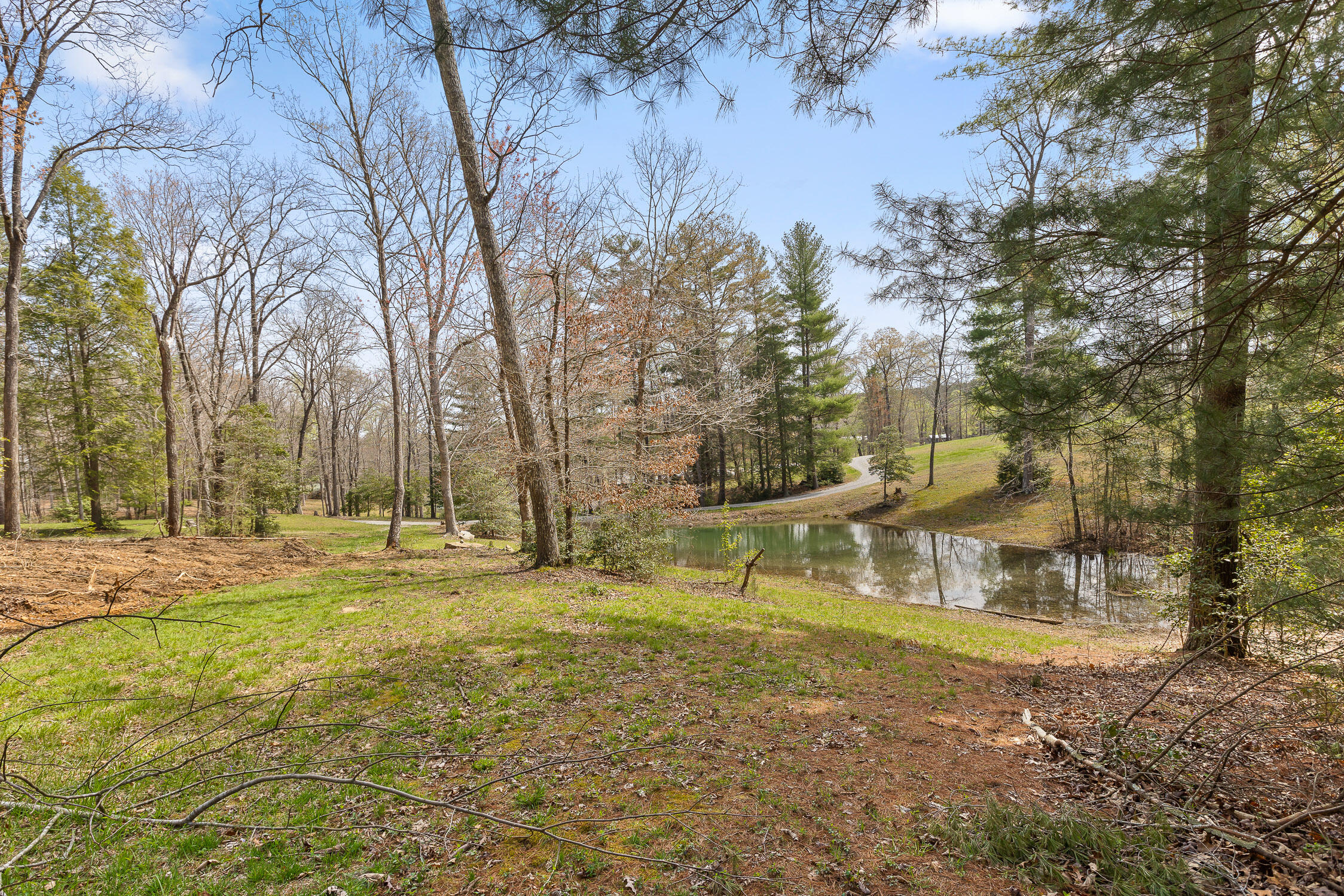 17.65 Acres Blaine Smith Road, Graysville, Tennessee image 17