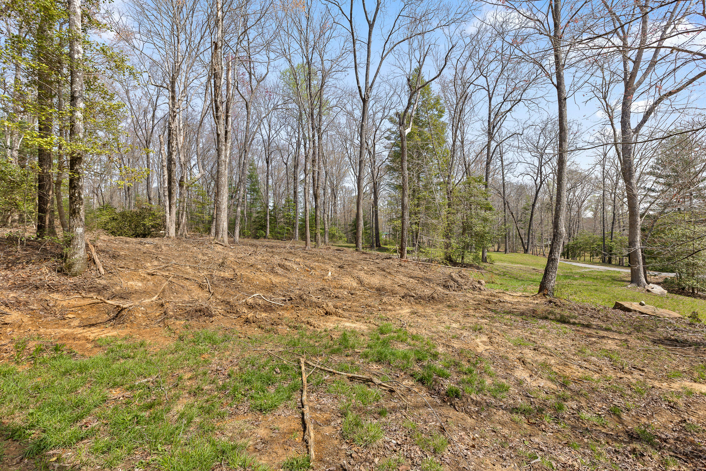 17.65 Acres Blaine Smith Road, Graysville, Tennessee image 18
