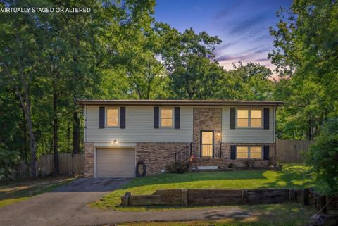 Photo of 1539 Mill Wee Hollow Road, Chickamauga, GA 30707 (MLS # 1533069)