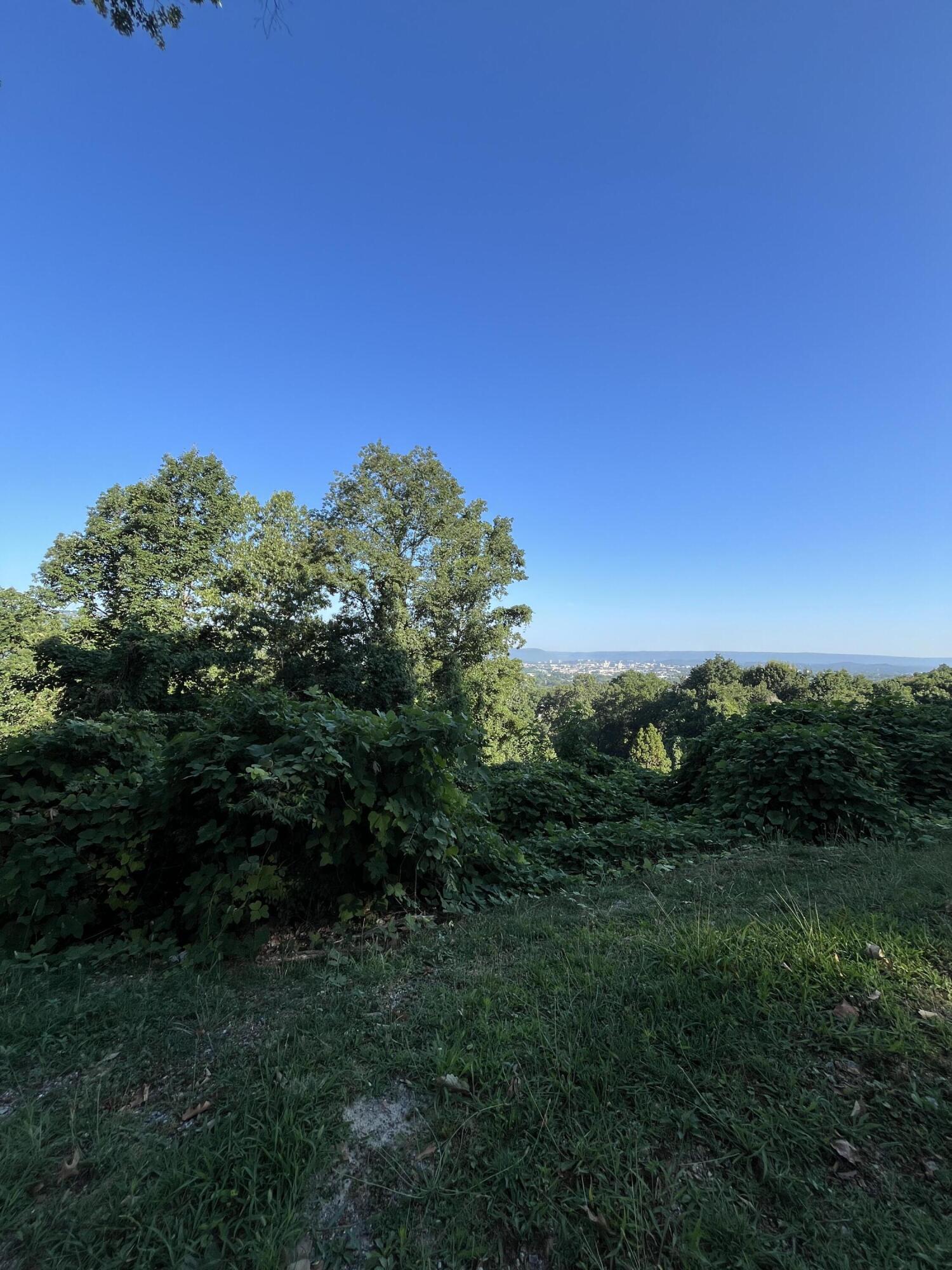 557 W Shadowlawn Lot 13b Drive, Chattanooga, Tennessee image 16