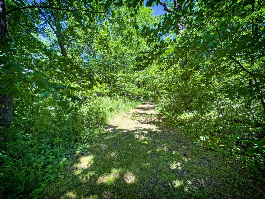 1455 Rigsby Gap Road, Pikeville, Tennessee image 50