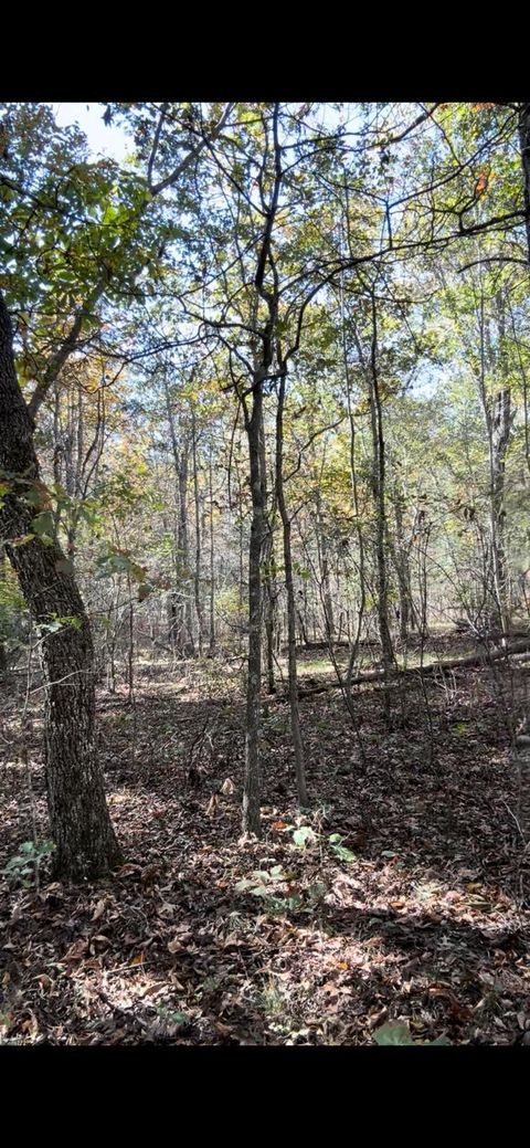 Vacant Land For Sale - 3329 Oswego Road<br/> Cumberland County, Crossville, TN 38572