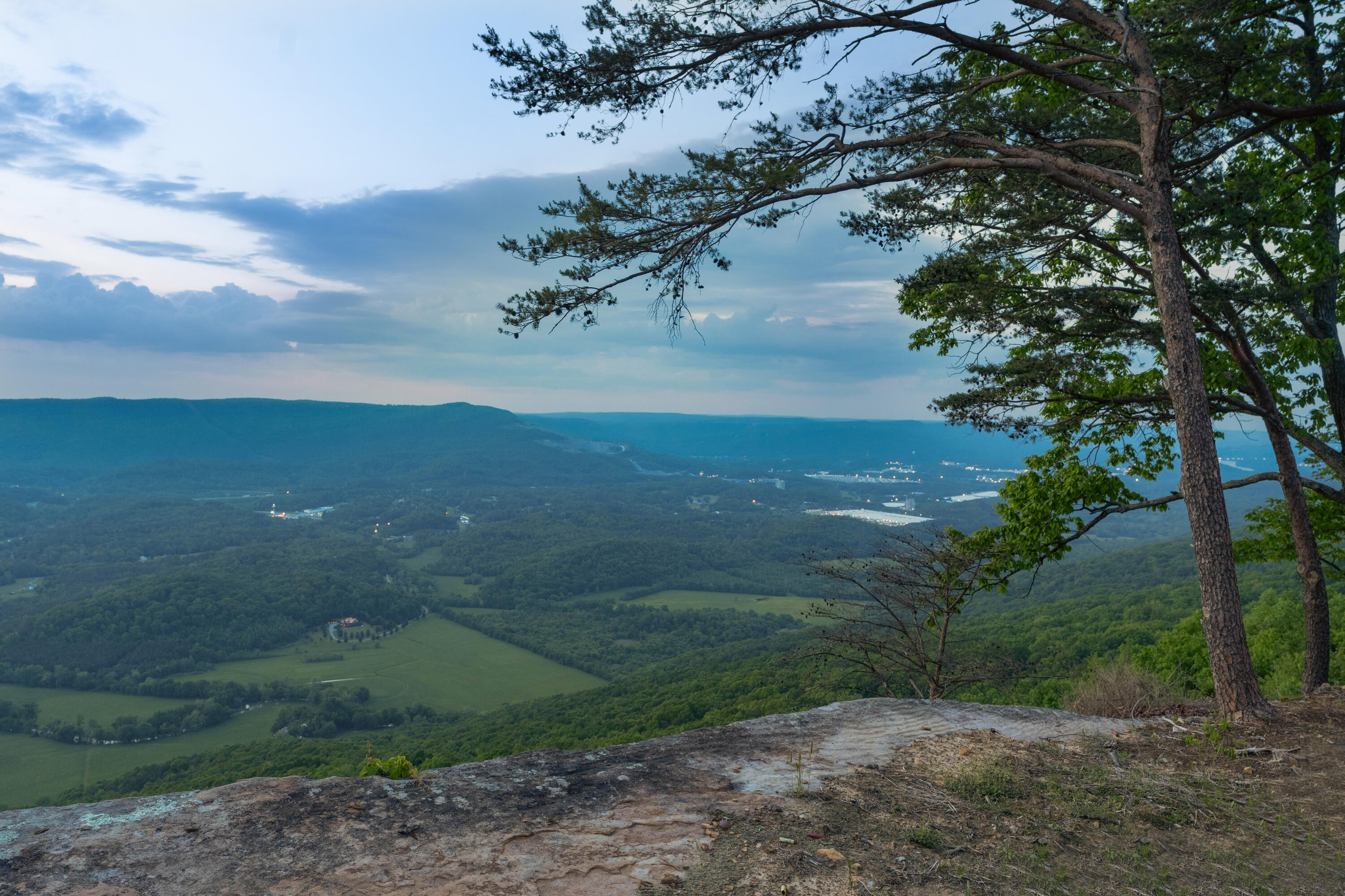 415 Brow Wood Lane, Lookout Mountain, Georgia image 6