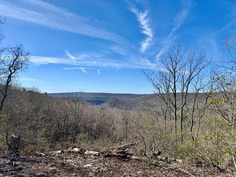 Vacant Land For Sale - Hobbstown Road<br/> Dunlap, TN 37327