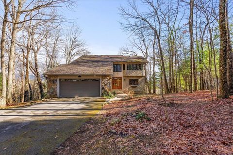 Tiny photo for 576 Apache Trail, Chatsworth, GA 30705 (MLS # 1526512)