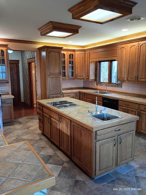 Tiny photo for 576 Apache Trail, Chatsworth, GA 30705 (MLS # 1526512)