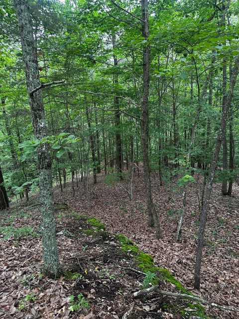 Tiny photo for 0 Bentley Park Drive NW, Cleveland, TN 37312 (MLS # 1526605)