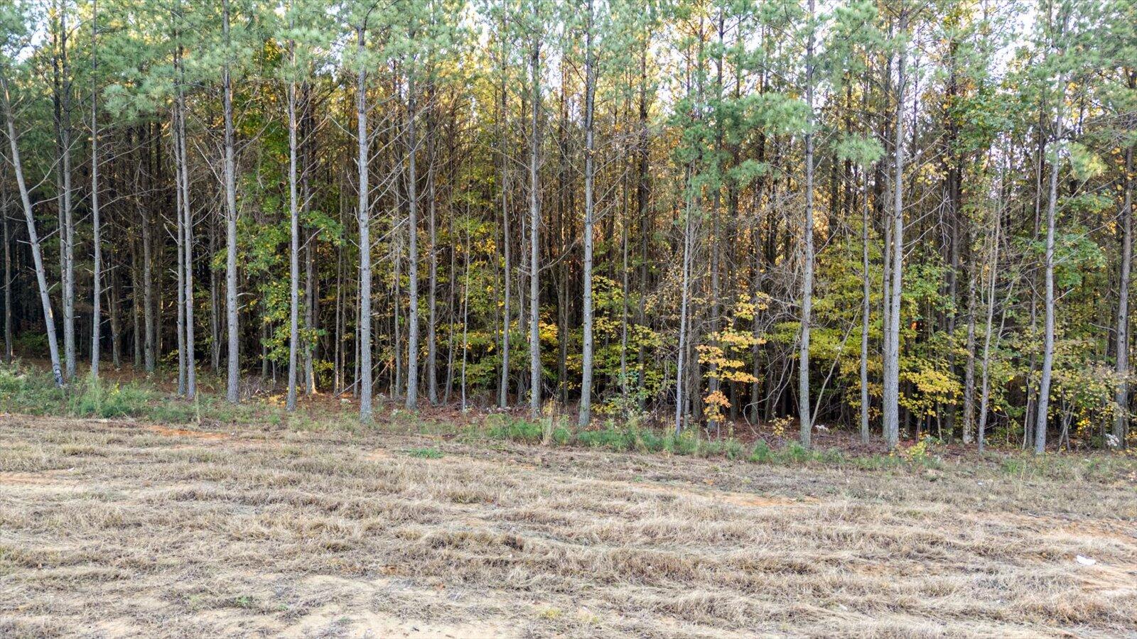 0 Legacy Drive , Lot 1153