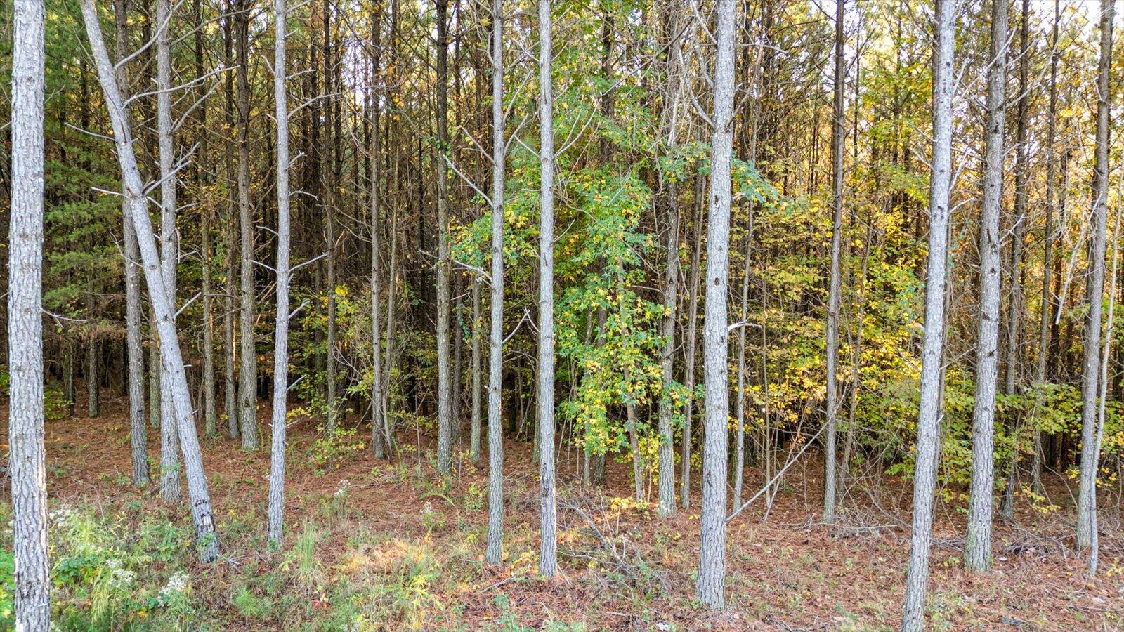 0 Legacy Drive , Lot 1153
