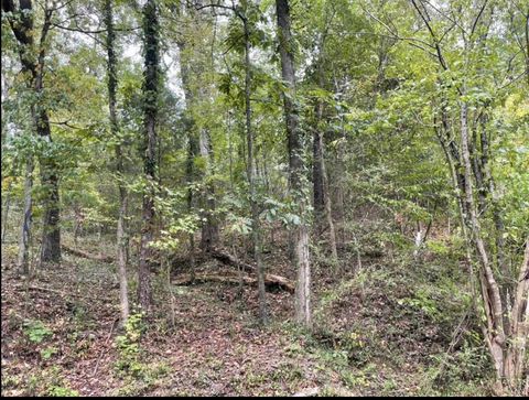 Tiny photo for 29 Park Drive, Dayton, TN 37321 (MLS # 1530295)