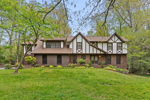 Photo of 401 Lake Avenue, Signal Mountain, TN 37377 (MLS # 1511514)