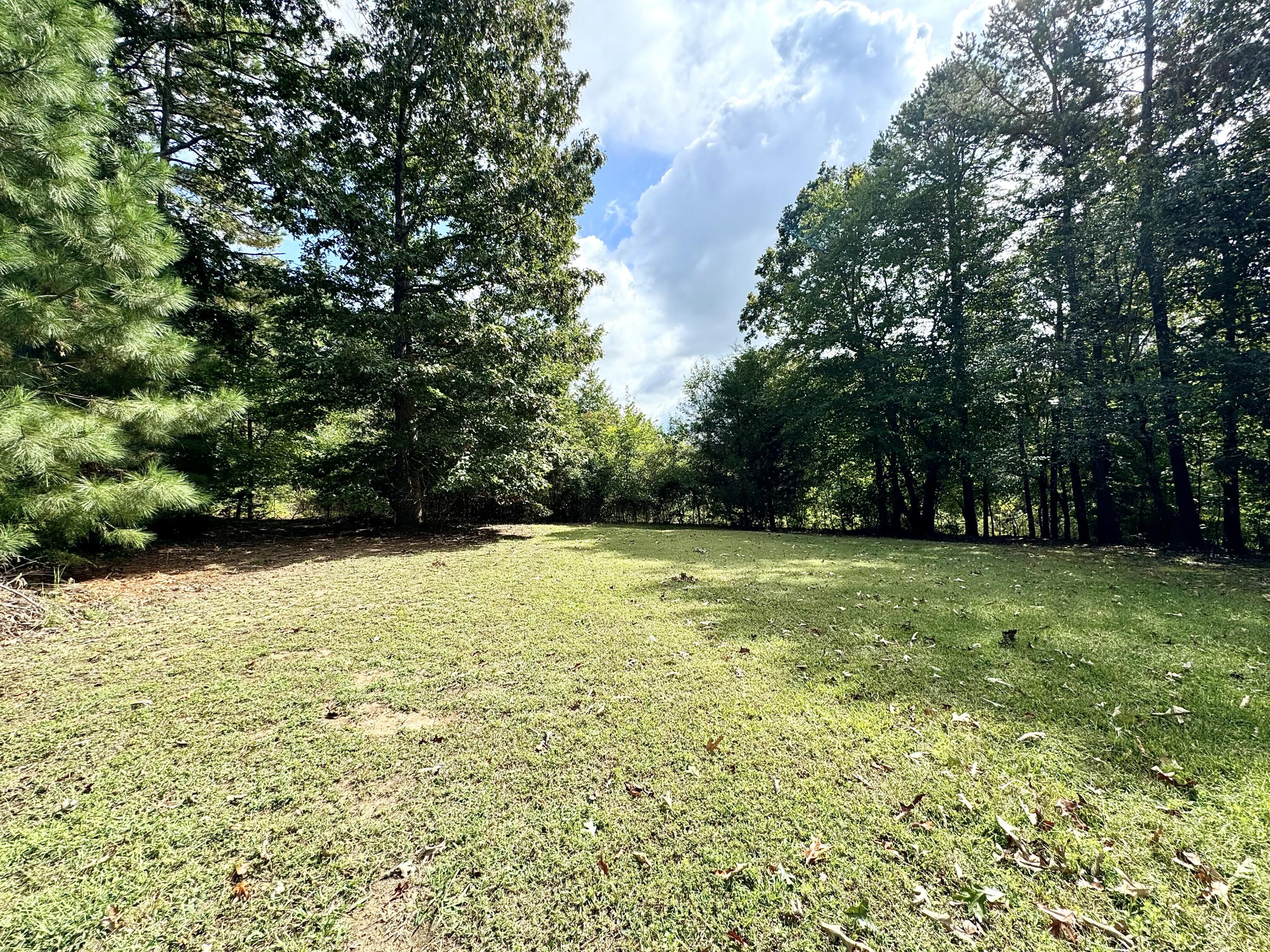 409 Jays Way, Ringgold, Georgia image 24