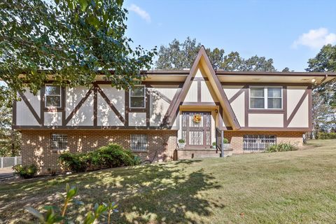 Photo of 6725 Harbor Terrace, Chattanooga, TN 37416 (MLS # 1522240)