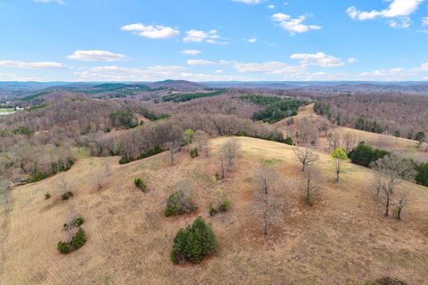 Tiny photo for Lot 3 N Nopone Valley Road, Decatur, TN 37322 (MLS # 1530378)