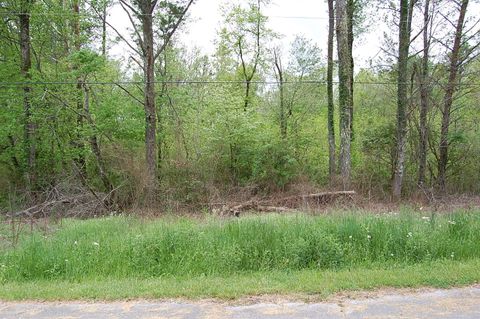 Photo of 66 51st Avenue, Gruetli Laager, TN 37339 (MLS # 1511784)