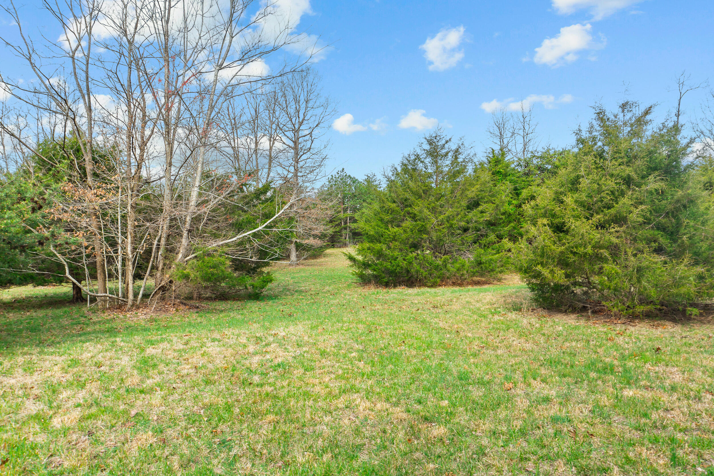 Skyhigh Trail #16, Dunlap, Tennessee image 1