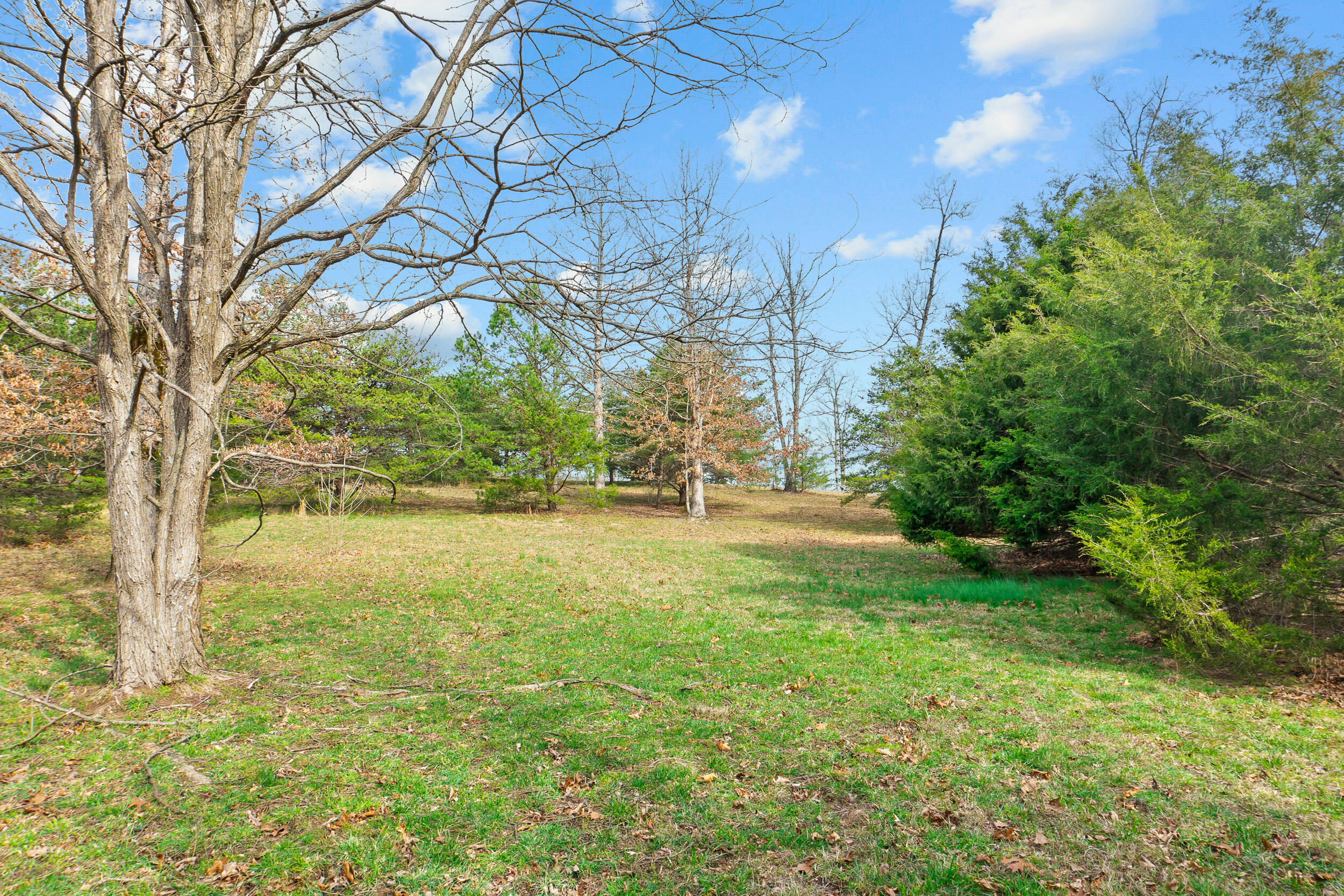 Skyhigh Trail #16, Dunlap, Tennessee image 3