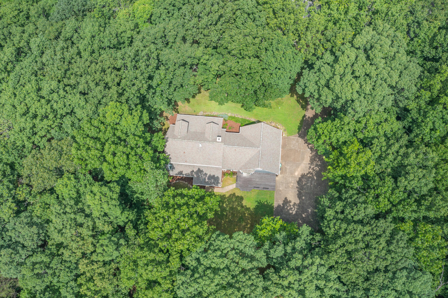 1200 Laurel Springs Way, Signal Mountain, Tennessee image 49