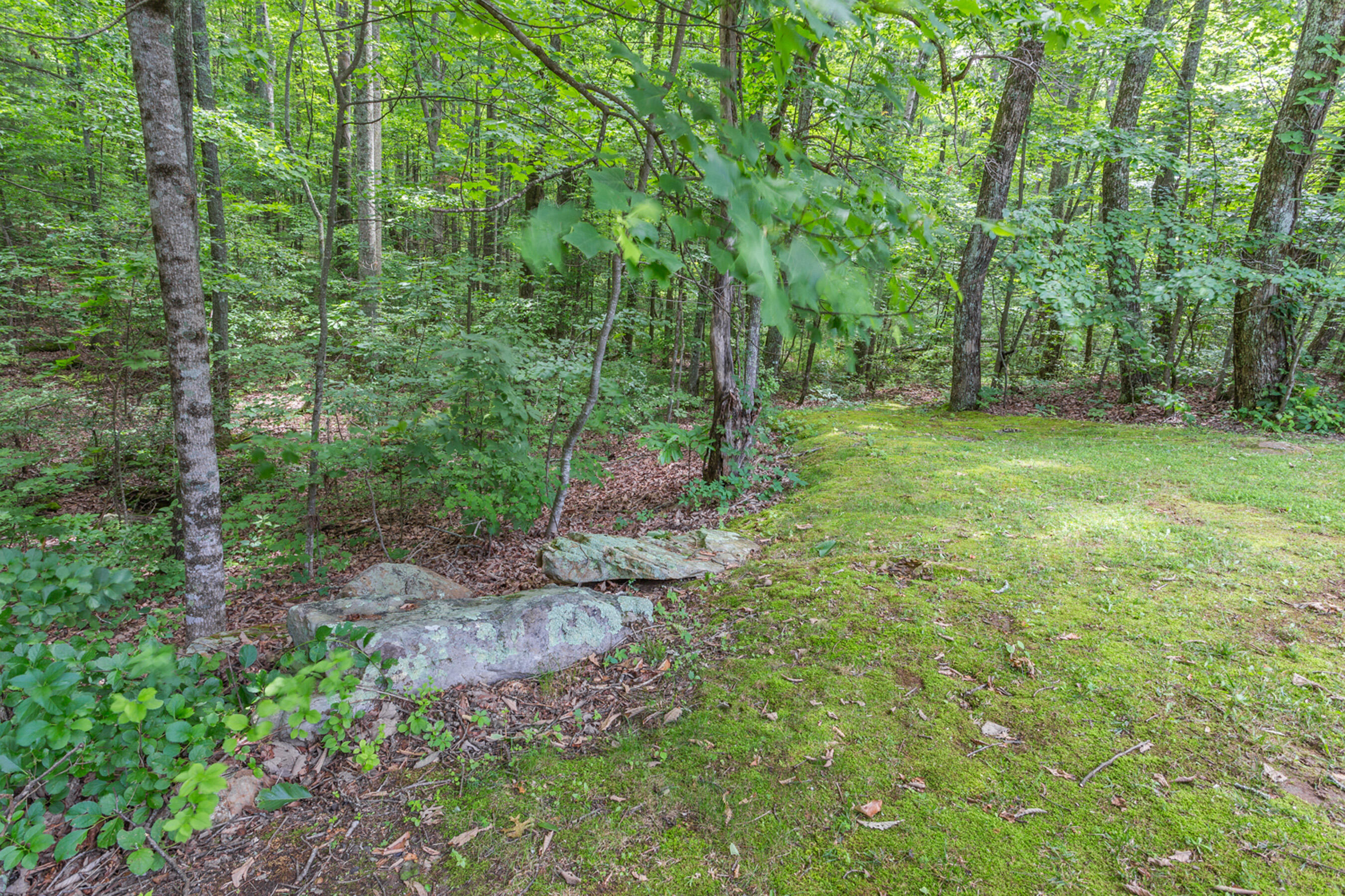 1200 Laurel Springs Way, Signal Mountain, Tennessee image 39