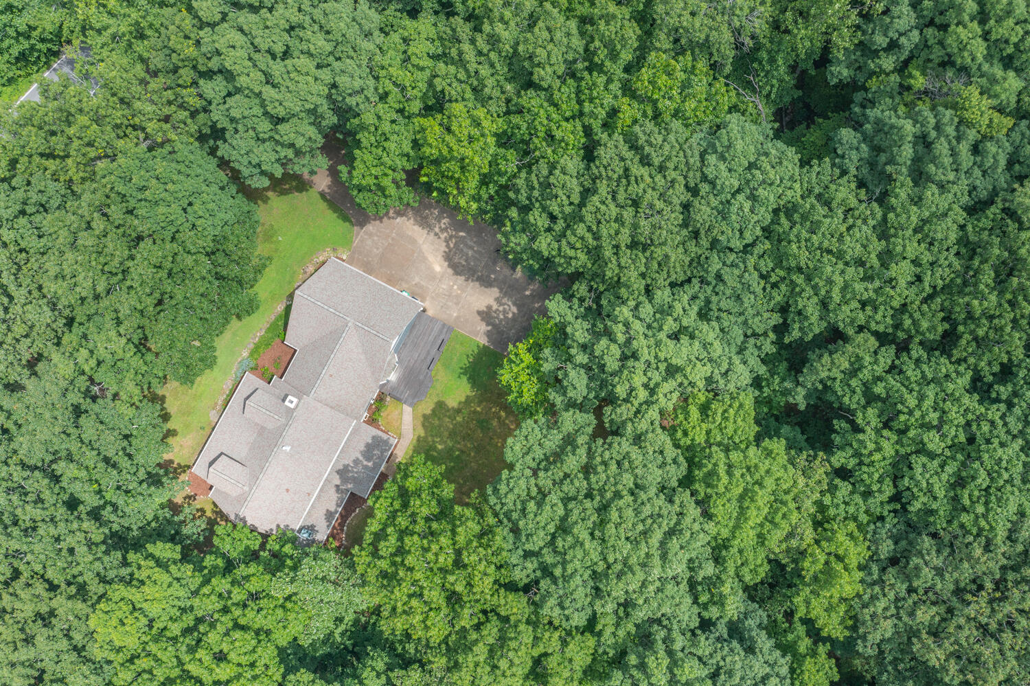 1200 Laurel Springs Way, Signal Mountain, Tennessee image 48
