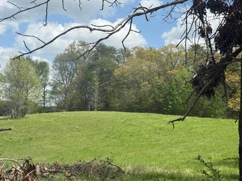 Tiny photo for 0 Lynn Lane, Whitwell, TN 37397 (MLS # 1510614)