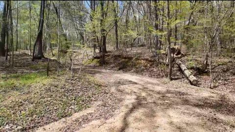 Tiny photo for 0 Lynn Lane, Whitwell, TN 37397 (MLS # 1510614)