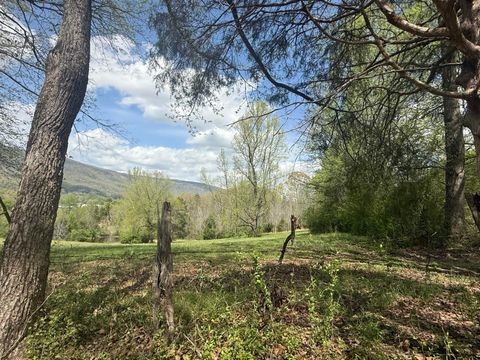 Tiny photo for 0 Lynn Lane, Whitwell, TN 37397 (MLS # 1510614)