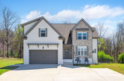 Photo of 8938 Cattails Creek Way, Ooltewah, TN 37363 (MLS # 1530668)